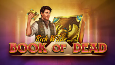 Book of Dead slot